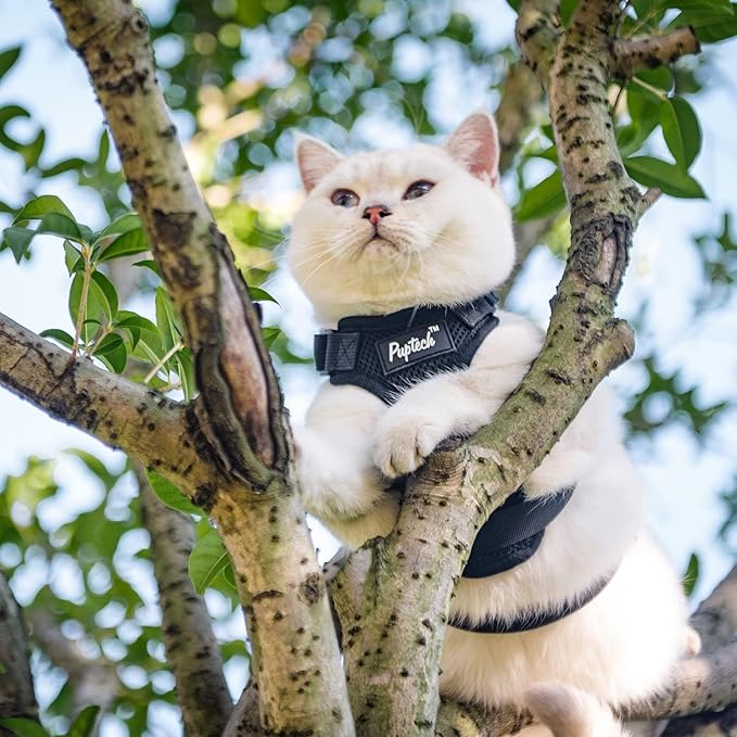 PUPTECK Cat Harness and Leash Set Escape Proof for Walking, Breathable Mash Vest Adjustable Harness for Cats Puppy Small Animals, Reflective at Night, Black Medium