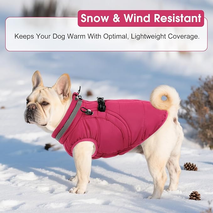 SAWMONG Dog Coat, Warm Dog Winter Coat, Waterproof Fleece Jacket, Cold Weather Dogs Jacket (L,Rosered)