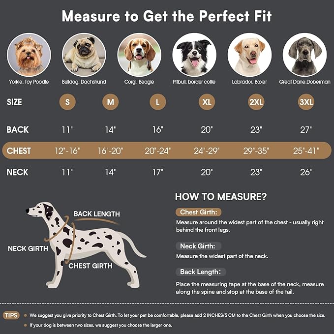 Queenmore Winter Dog Coat Warm Dog Jacket Vest Waterproof Puffer Fleece Snowsuit Adjustable Buckle Leash Hole Reflective Cold Weather Parka for Small Medium Large Dogs Girl Boy Orange S