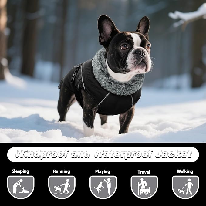DENTRUN Medium Dog Winter Jacket - Warm Reflective Windproof Coat, Adjustable Neck & Snap Closure, Water Repellent Thick Fleece Vest, Fleece Lined for Beagle Pug, Black, M