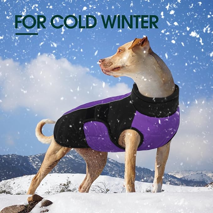 Kuoser Dog Jackets for Small Dogs, Warm Dog Coat with Harness Built in, Puppy Winter Jacket Pet Clothes for Cold Weather, Reflective Waterproof Doggie Winter Vest for Pug Dachshund, Purple S