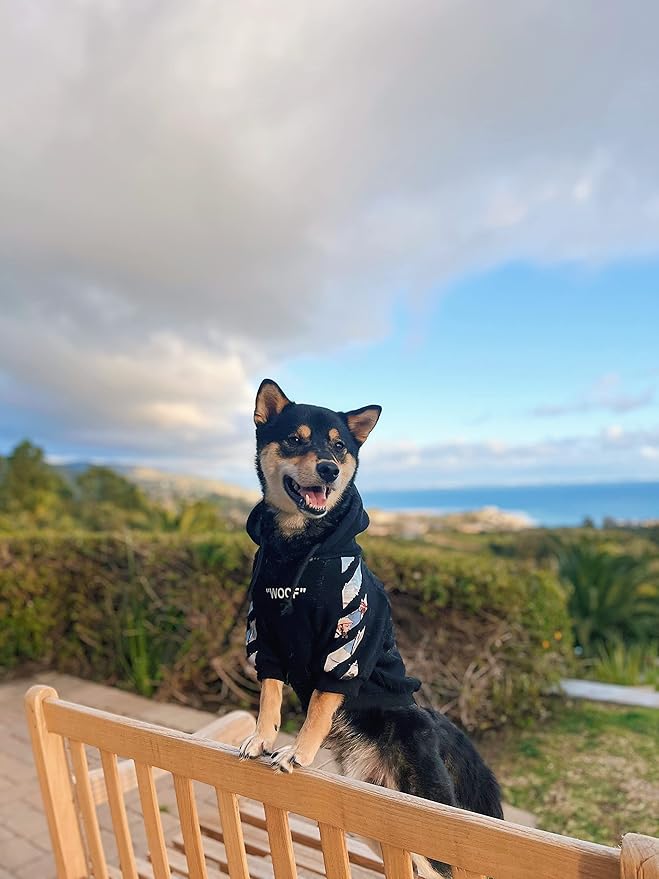 ChoChoCho Woof Dog Hoodie, Designer Dog Hoodies for Small Medium Large Breeds, Art Collection Dog Sweatshirts, Street Drawstring Hoodies Outfit Clothes for Puppy Puppies (5XL, Monet Painting)