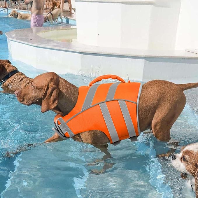 Kuoser Dog Life Jacket with Reflective Stripes, Adjustable High Visibility Dog Life Vest with High Flotation Swimsuit for Small Medium and Large Dogs
