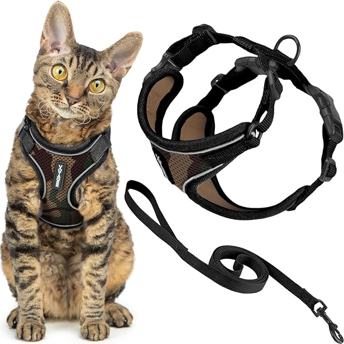 Voyager Escape Proof Cat Harness and Leash Set with Reflective Stitching, Neoprene Handle 5ft - Supports Small, Medium and Large Cats, Kittens for Walking by Best Pet Supplies - Army, XXS