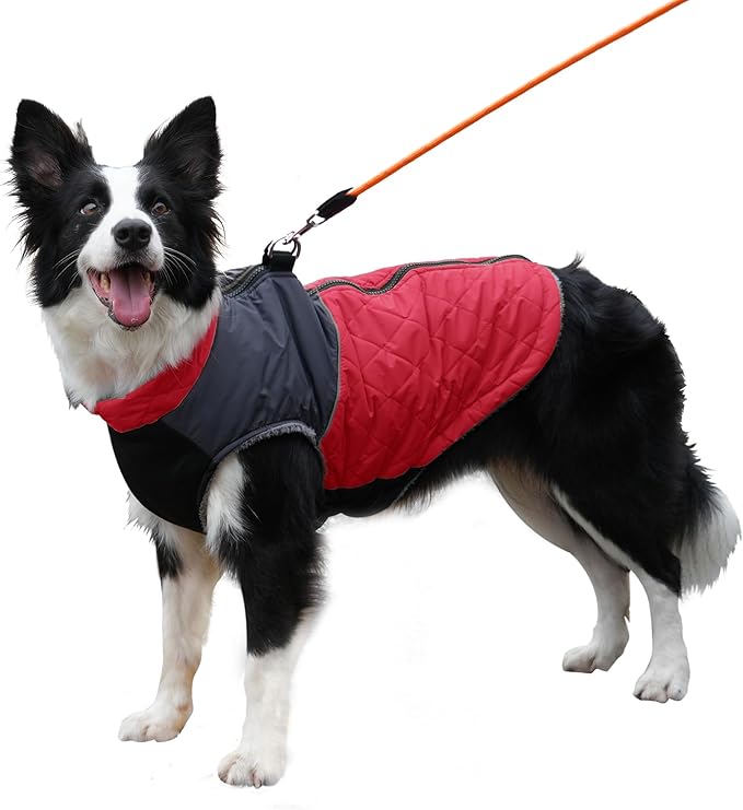 Warm Fleece Dog Coats for Large Dogs,D-Rings Waterproof Puppy Jacket for Cold Winter,Red XXL