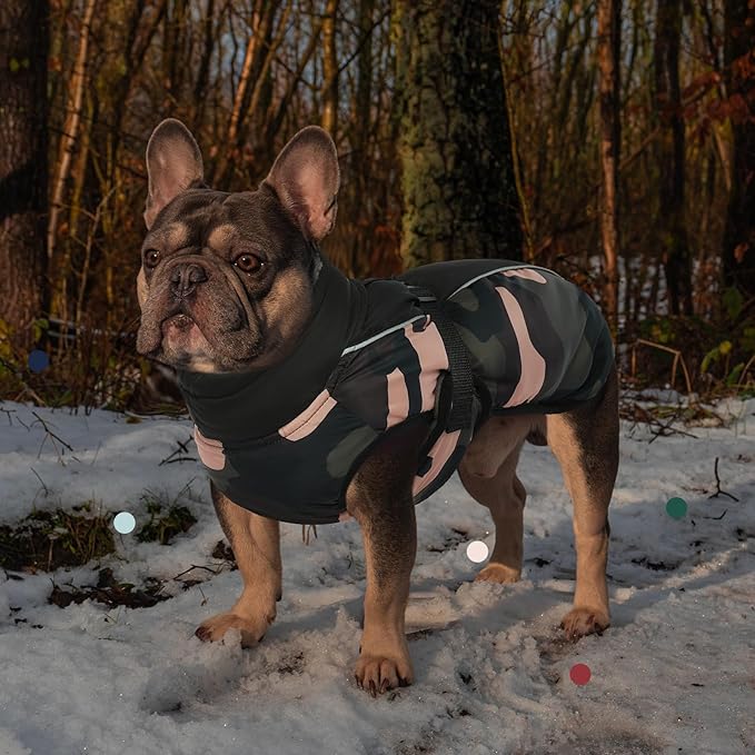 IECOii Extra Warm Dog Coat - Reflective Adjustable Jacket With Buckle Fleece Turtleneck for Cold Weather - Soft Winter Coat for Small Medium Extra Large Dogs - Green Camo