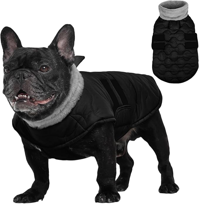 Kuoser Dog Jacket, Winter Dog Coats for Medium Dogs, Cold Weather Coats Pet Clothes, Doggie Snow Jacket for Frech Bulldog, Boston Terrier, Black M