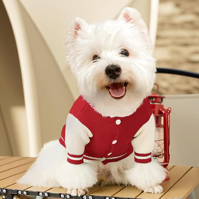 Small Dog Sweater Sweatshirt Cute Puppy Sweaters - Winter Red Warm Knitted Bear Design for Puppies (M)