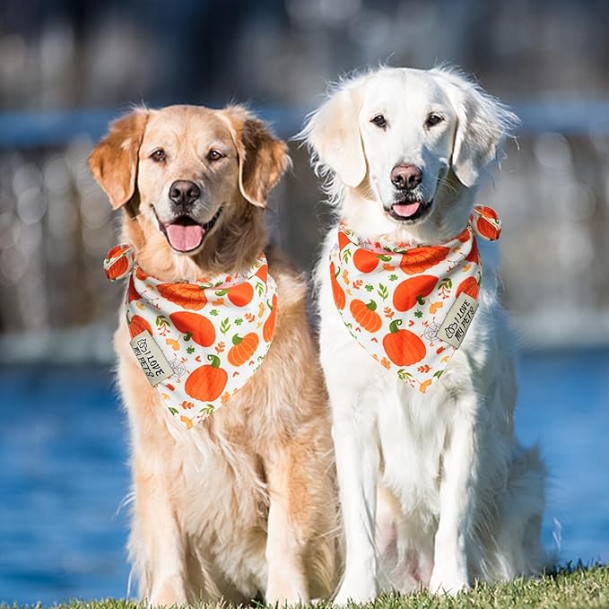 SCENEREAL Thanksgiving Dog Bandana, Fall Pumpkin Double Side Dog Scarf for Small Medium Large Dogs Cats Puppy,Holiday Bandanas for Dogs Boys Girls, Premium & Soft Fabric Pet Accessories for Birthday