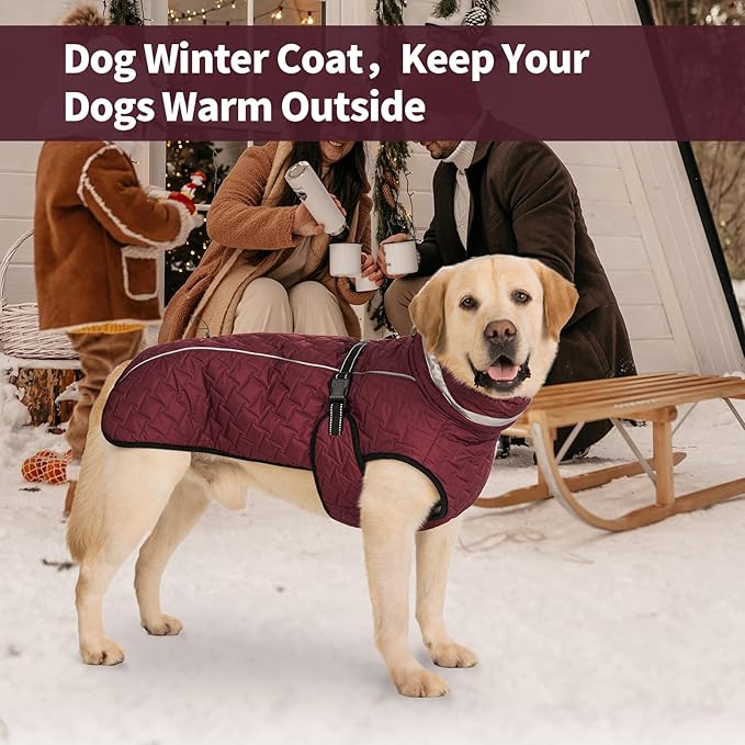 Dog Winter Coat for Small Medium Dogs, Reflective Dog Winter Jacket, Thick Fleece Snowsuit & Christmas Vest, Warm Water-Resistant Puppy Coat, Small Doggie Jackets for Cold Weather