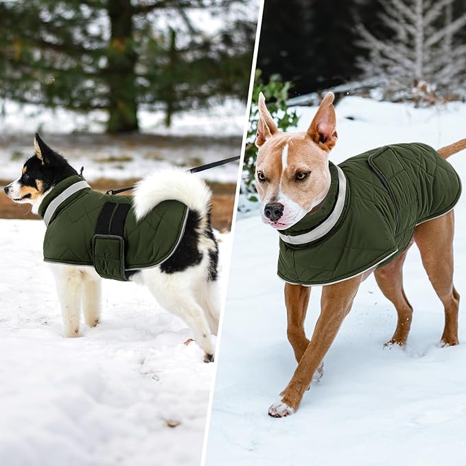 Dog Winter Coat Warm Padded Puppy Jacket Windproof Water Resistant Clothes for Small Medium Large Pets Christmas Sweater Outfit Vest(Green, XL)
