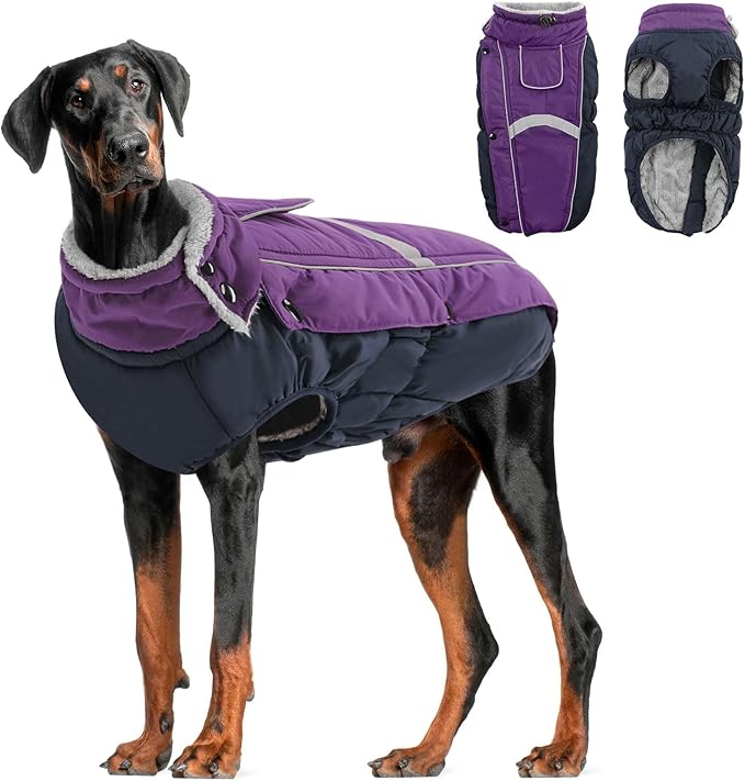 Queenmore Warm Fleece Dog Jacket - Cold Weather Waterproof Snow Coat With Leash Hole, Reflective Turtleneck Snowsuit for Small Medium & Large Dogs (Purple, 2XL)