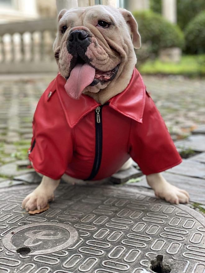 Lovelonglong Cool Dog Leather Jacket, Warm Coats Dogs Windproof Cold Weather Coats for Large Medium Small Dogs with Eagle Embroidery Red B-M