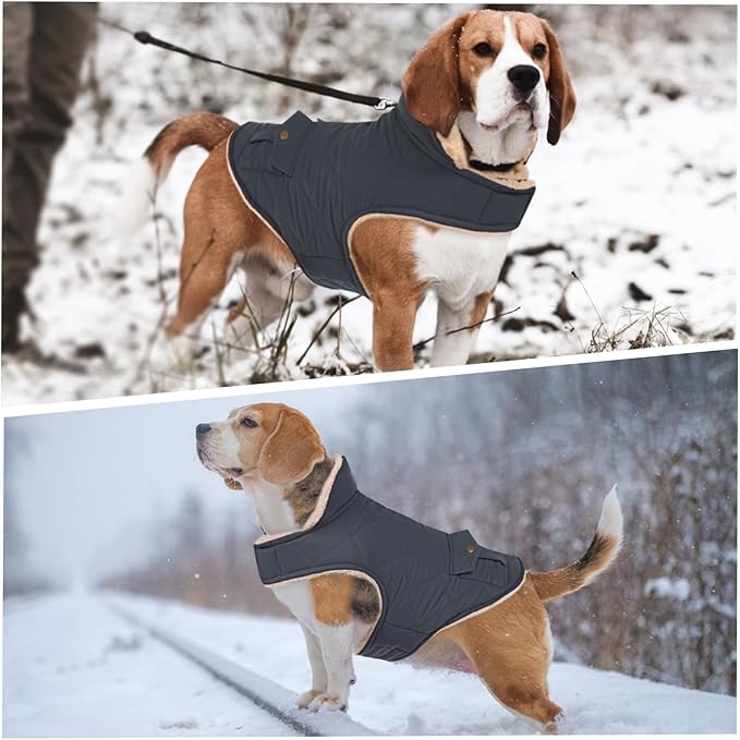 ASENKU Warm Dog Winter Coat, Waterproof Dog Coat for Cold Weather, Fleece Dogs Jacket with Ultra Thick Plush Lining Leash Hole Storage Pockets for Medium Dogs (Navy Blue, Medium)