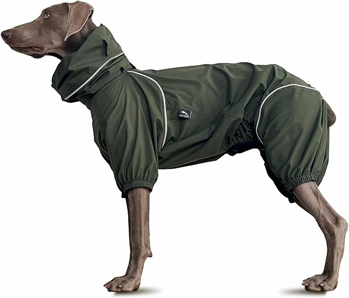 Dog Lightweight Windbreaker, Dog Outdoor 4-Legs Jacket, 0.5 lbs,Durable Water Repellent, Hooded, Easy on/Off with Collar and Harness, Reflective, Packable,Dark Olive - XLarge (Male)