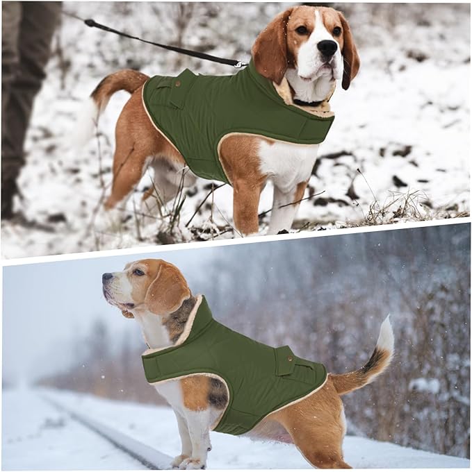 ASENKU Warm Dog Winter Coat, Waterproof Dog Coat for Cold Weather, Fleece Dogs Jacket with Ultra Thick Plush Lining Leash Hole Storage Pockets for Small Dogs (Green, X-Small)