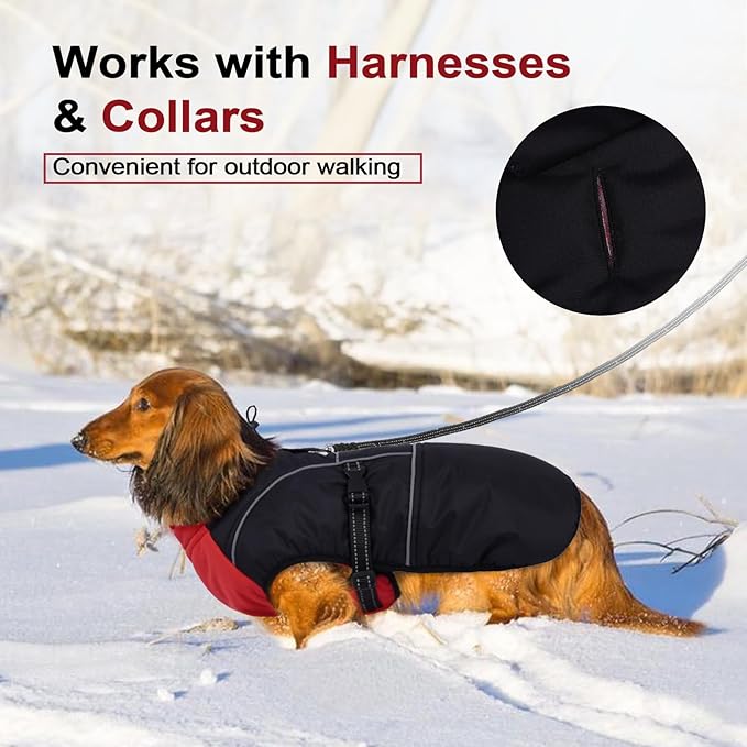 Lelepet Dachshund Coat Warm Dog Winter Coat Waterproof Dog Jacket with Fleece Lining, Reflective Outdoor Dachshund Snowsuit with Leash Hole Adjustable Neckline,Coats for Small Medium Dogs,Red, XL