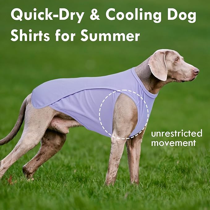 2 Pack Dog Shirt, Quick Dry Cooling T-Shirt for Summer Hot Day, Lightweight Sun Protection Dog Clothes for Boy Girl Easy to Put on, Purple+Pink, XL