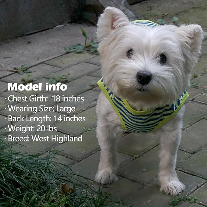 KYEESE 2Pack Dog Shirts Striped for Small Pets Soft Stretchy Puppy T-Shirts Lightweight Canine Tank Top Sleeveless Pet Vest Breathable, X-Large, Orange+Green