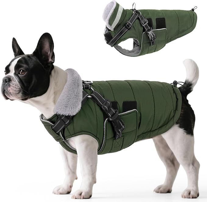 Queenmore Small Winter Dog Coat with Harness Built-in, Waterproof Winter Jackets for Small Dogs, Puppy Warm Puffer Jacket for Snow/Cold Weather - Fleece Reflective Easy On Velcro Closure, Green S