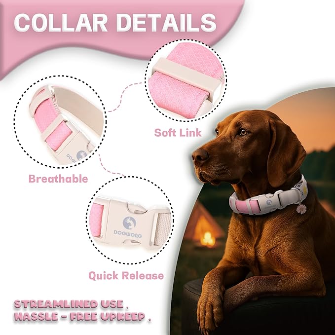 DOGWONG LED Dog Collar - Heavy Duty Light up Collars - Rechargeable Waterproof - Lighted Dog Collar for Night Walking, Hiking, Camping(Pink,M)