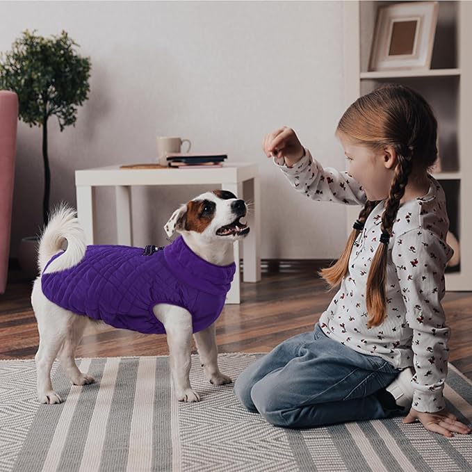 Kuoser XXXL Thermal Dog Suit | Extra Giant Apparel for St. Bernards | D-Ring Safety System Prevents Escape During Storms, Purple XXL