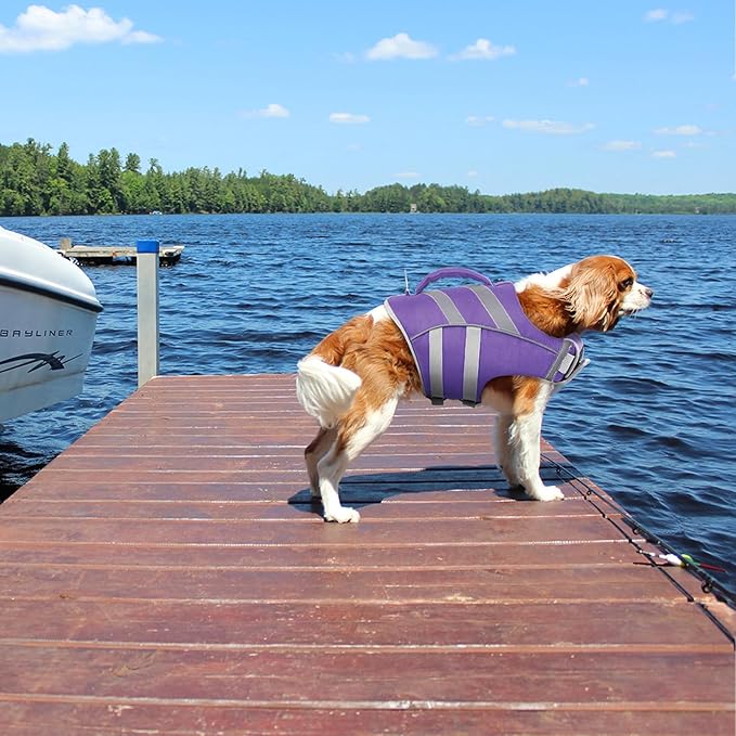 Kuoser Dog Life Jacket with Reflective Stripes - Adjustable High Visibility Vest, Ripstop Lifesaver, Pet Preserver with High Flotation Swimsuit for Small, Medium and Large Dogs