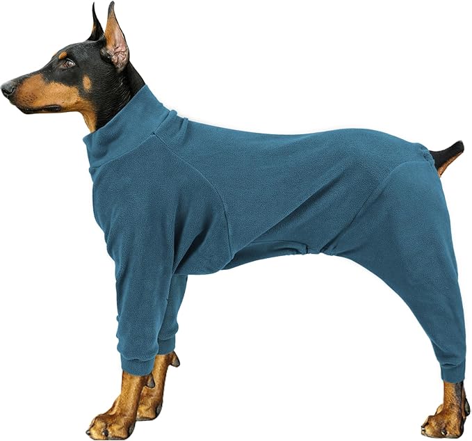 Dog Winter Coat for Small Medium Large Dog Run Walk Sleep Pet Warm Fleece Sweater & Windproof Pajamas Snow Jacket Small Turquoise