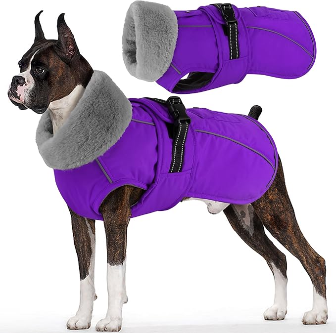 Dogcheer Dog Coat with Pocket, Waterproof Dog Jacket with Adjustable Buckle, Reflective Puppy Winter Coat Warm Turtleneck Fleece SnowJacket for Small Medium Large Dogs - Purple XL