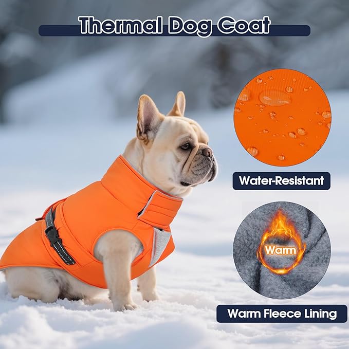 IECOii Warm Dog Jacket - Reflective & Adjustable Winter Vest, Windproof & Waterproof & Warm Fleece Coat for Great Dane, Snow & Rain Walking, Skiing, Orange, Size 5XL