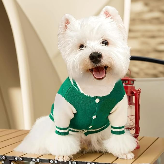 Small Dog Sweater Sweatshirt Cute Puppy Sweaters - Winter Green Warm Knitted Bear Design for Puppies (M)