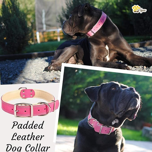 ADITYNA Heavy-Duty Pink Leather Dog Collar for Large Dogs - Lined with Soft Leather - Girl Dog Collar for Walking, Training, and Hiking