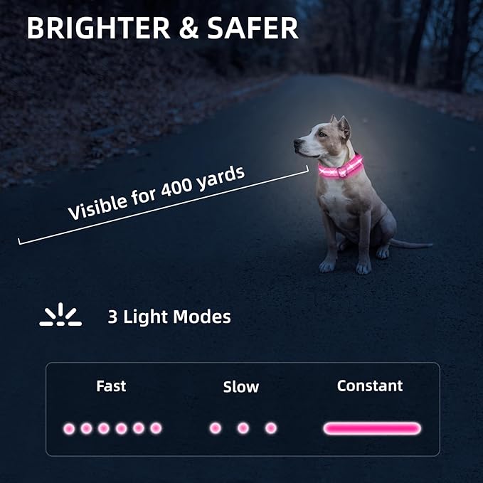 Super Bright LED Dog Collar - Fully Waterproof & Adjustable Glow Collar - USB-C Rechargeable for Night Walking, Safety - Flashing Lighted Collar for Dogs(Pink,S)