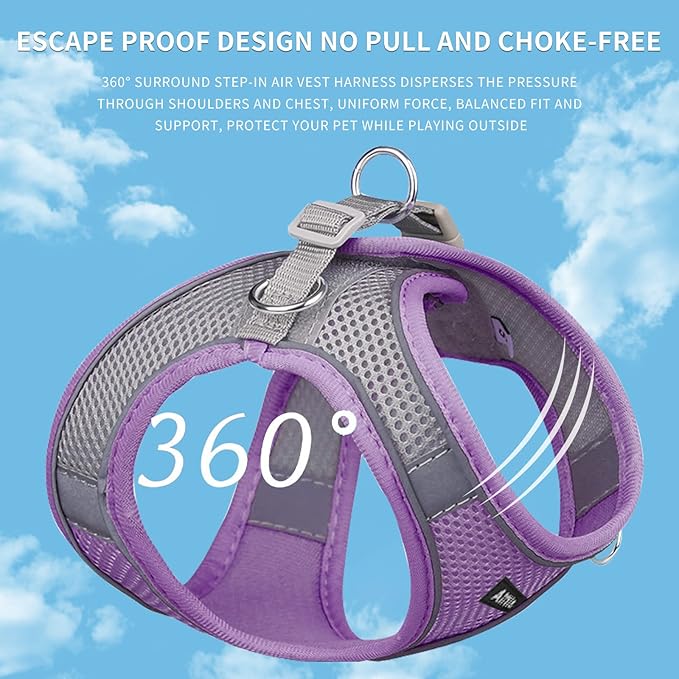 AIITLE Small Harness for Puppy with A Leash - Summer Dog Vest Harness with Super Breathable Mesh, Reflective No-Pull Pet Harness for Outdoor Walking, Camping for Small Dogs, Cats Purple XXS