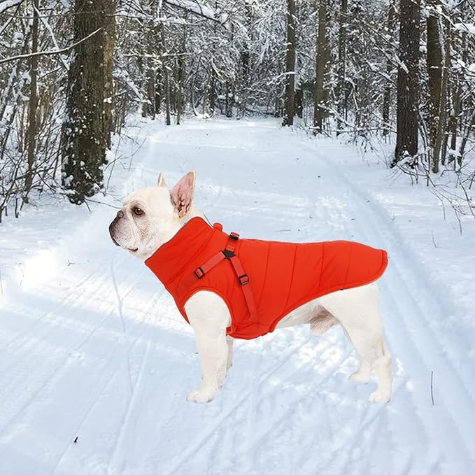 Geyecete Winter Warm Coat Waterproof Dog Winter Jacket with Harness Traction Belt,Windproof Pet Outdoor Jacket Dog Autumn-Orange-XXL