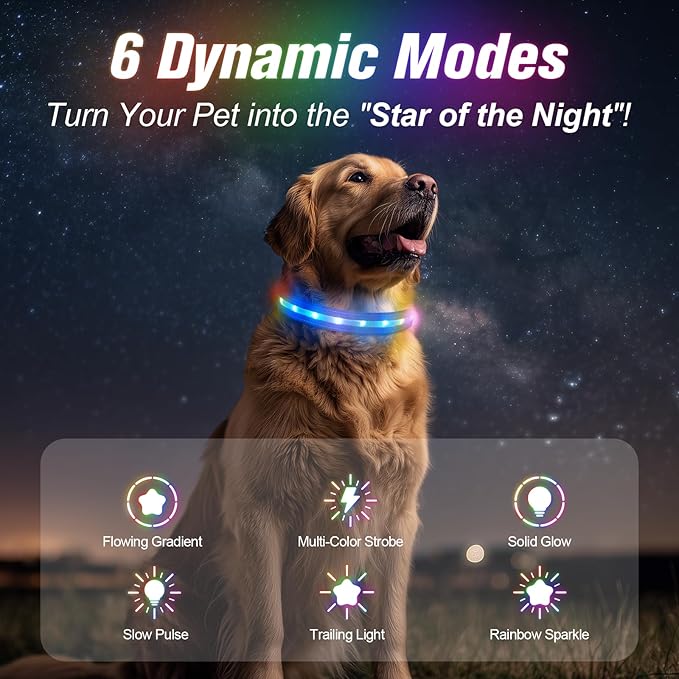 LED Dog Collar, Light Up Dog Collar, USB Rechargeable - Brightest Dog Lights for Night Walking, 6 Light Modes, Adjustable for Dog Safety(Medium, Royal Blue)