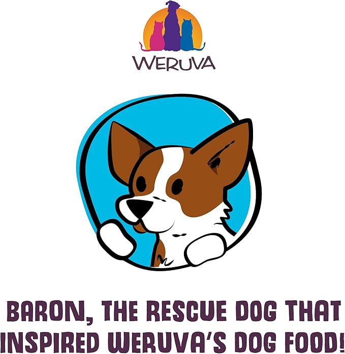 Weruva Dog Freeze Dried, Feeling Farmy with Chicken Breast, Egg & Pumpkin, 13oz Bag