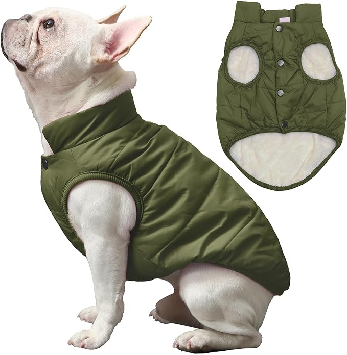 2 Layers Fleece Lined Warm Dog Jacket for Winter Cold Weather,Soft Windproof Medium Dog Coat,Green L