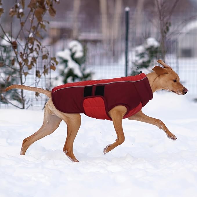 Kuoser Dog Jacket, Winter Dog Coats for Medium Dogs, Reflective Doggie Cold Weather Coats Pet Clothes, Puppy Snow Jacket for Frech Bulldog, Boston Terrier, Red L