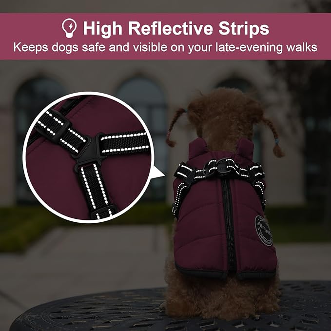 Warm Winter Coat - Sports Dog Jacket, Reflective & Adjustable, Waterproof & Windproof for Small Dogs (Purple)