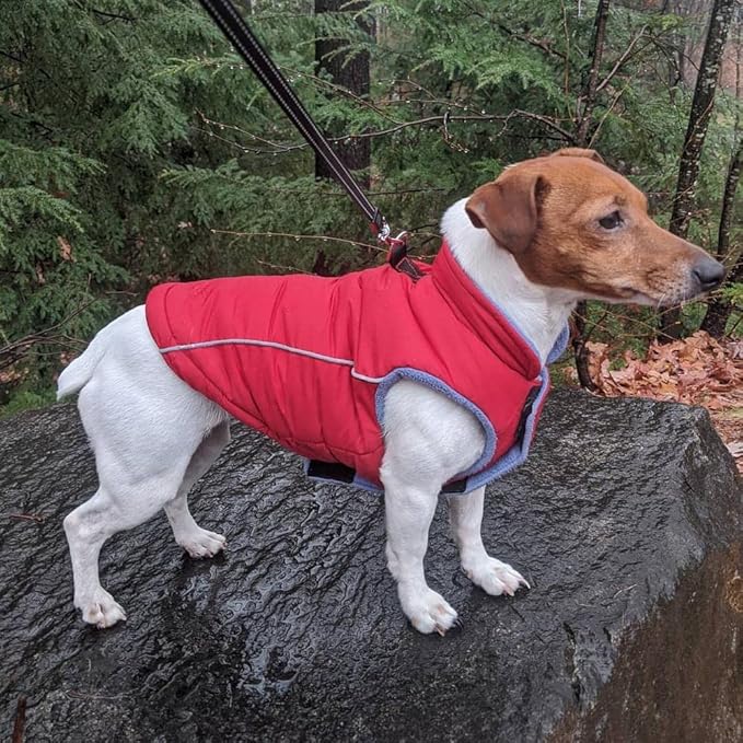 Gooby - Sports Vest, Fleece Lined Small Dog Cold Weather Jacket Coat Sweater with Reflective Lining, Red, Large