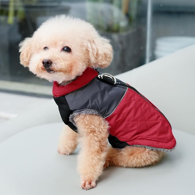 Warm Fleece Dog Coats for Small Dogs,D-Rings Waterproof Puppy Jacket for Cold Winter,Red S
