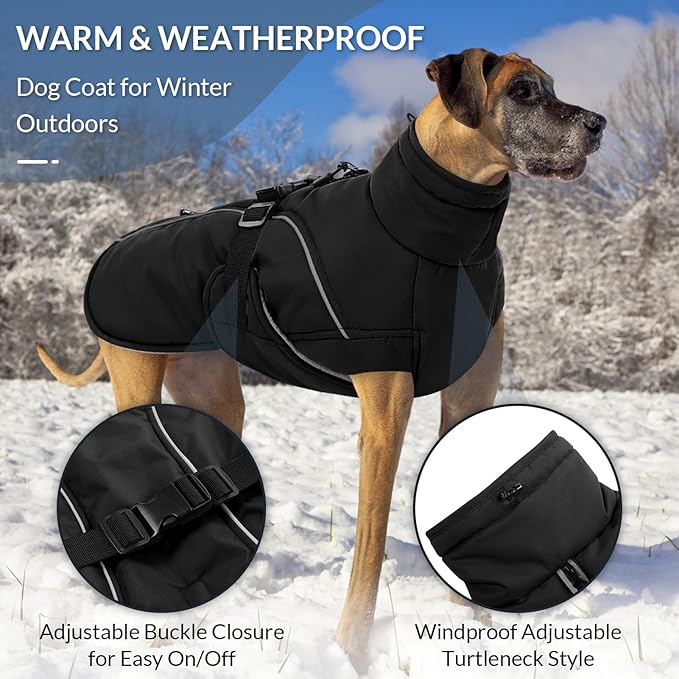 Queenmore Winter Dog Coat Warm Dog Jacket Vest Waterproof Puffer Fleece Snowsuit Adjustable Buckle Leash Hole Reflective Cold Weather Parka for Small Medium Large Dogs Girl Boy Black M