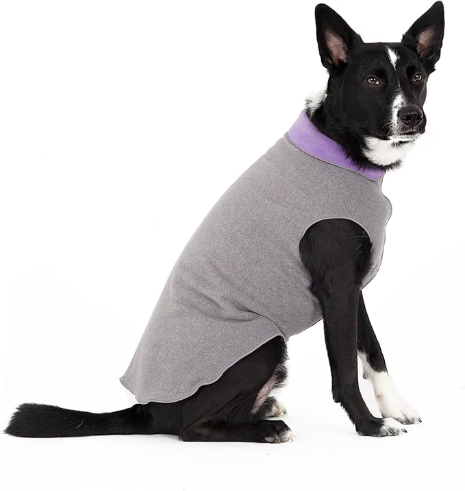 Goldpaw Duluth Double Fleece Dog Sweater Vest for Small Dogs - Soft, Stretchy Dog Fleece - Warm Pet Jacket for Fall and Winter - Premium Pet Outerwear - Machine Washable - Charcoal/Lavender - Size 6