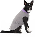 Goldpaw Duluth Double Fleece Dog Sweater Vest for Small Dogs - Soft, Stretchy Dog Fleece - Warm Pet Jacket for Fall and Winter - Premium Pet Outerwear - Machine Washable - Charcoal/Lavender - Size 10
