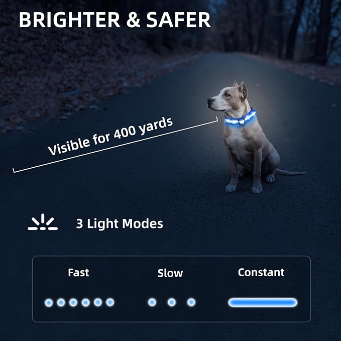 Super Bright LED Dog Collar - Fully Waterproof & Adjustable Glow Collar - USB-C Rechargeable for Night Walking, Safety - Flashing Lighted Collar for Dogs(Blue,Medium)
