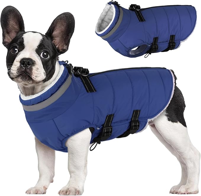 Small Dog Coat with Harness Built-in, Waterproof Reflective Fleece Lined - Warm Windproof Winter Jacket with Back Zipper, Cold Weather Snow Dog Coats - Blue - XS
