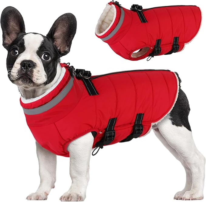 Large Dog Coat with Harness Built-in, Waterproof Reflective Fleece Lined - Warm Windproof Winter Jacket with Back Zipper, Cold Weather Snow Dog Coats - Red - 2XL