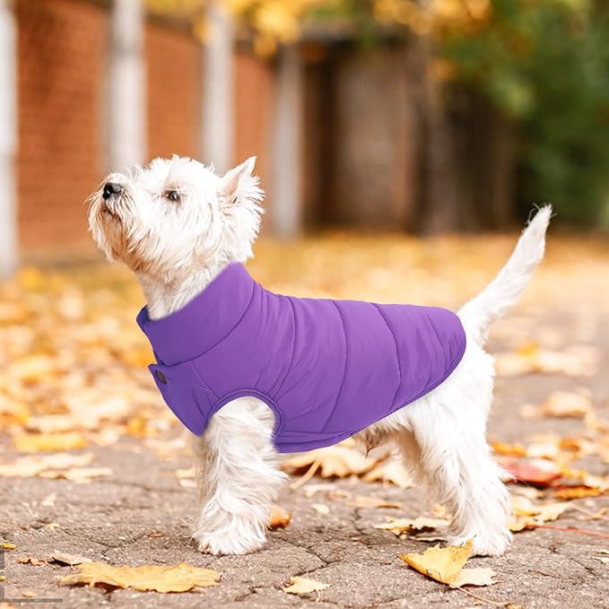 ASENKU Dog Winter Coat - Waterproof Windproof Dog Jacket, Warm Snowproof Doggie Puffer Vest for Cold Weather, Lightweight Snow Coats for Small Medium Large Dogs (Purple, 2XL)