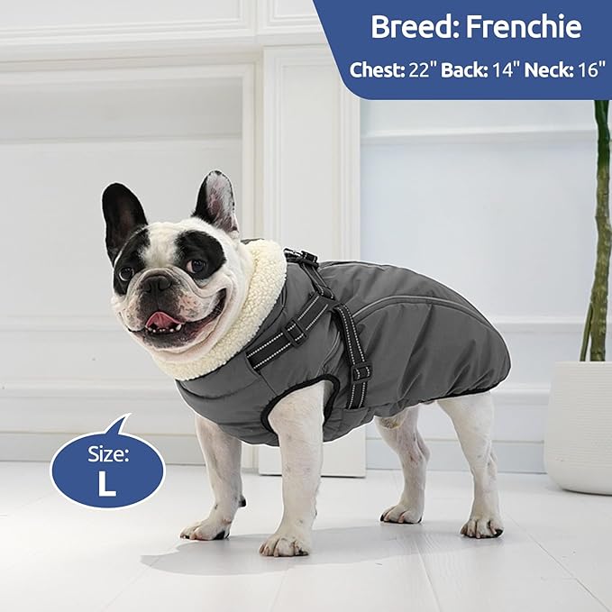 Dog Winter Coat with Harness Built in Warm Puffer Dog Jackets for Small Medium Large Dogs Windproof Waterproof Outfit with Plush Lining and Reflective Stripes (Blue, L)